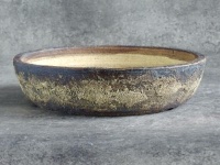 bonsai pot ref: 5475