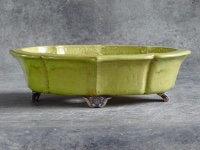 bonsai pot ref: 5550